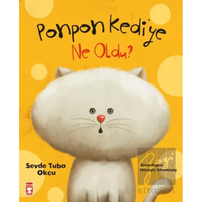 Ponpon Kediye Ne Oldu?