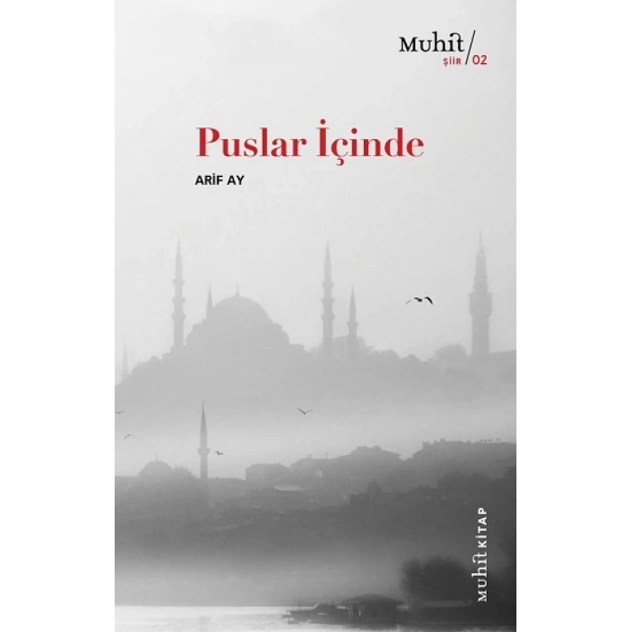 Puslar İçinde