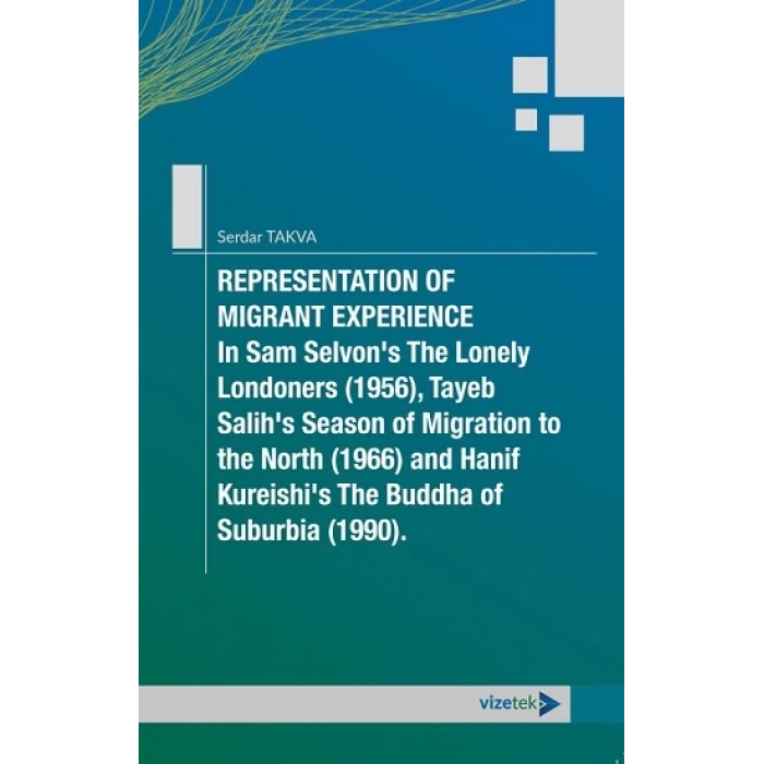 Representation Of Migrant Experience