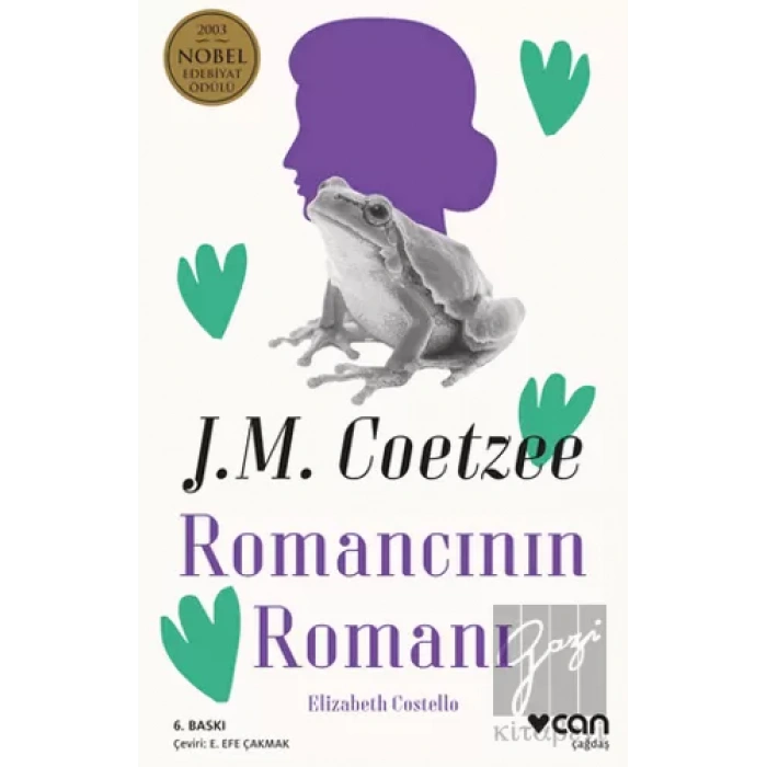 Romancının Romanı