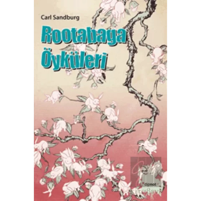 Rootabaga Öyküleri