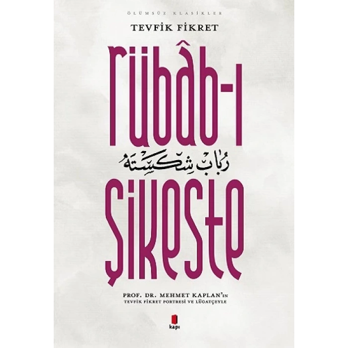 Rübâb-ı Şikeste