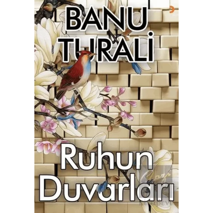 Ruhun Duvarları