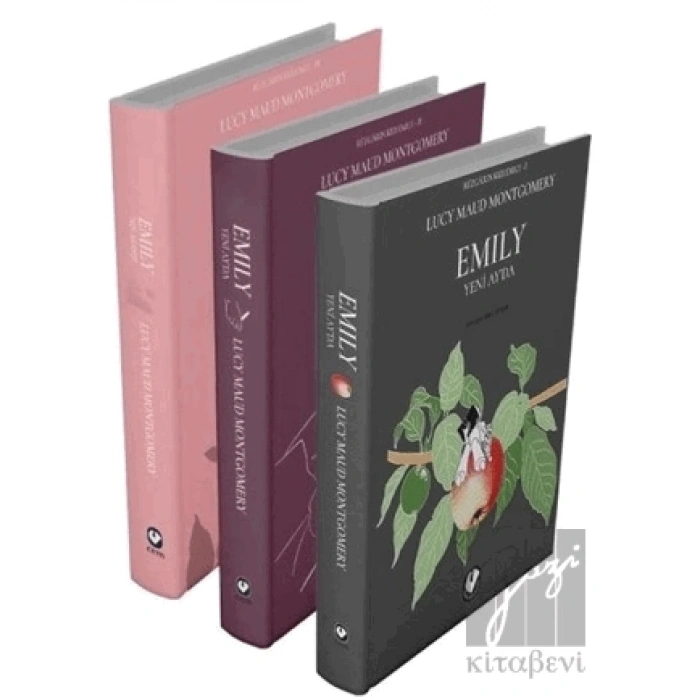 Rüzgarın Kızı Emily Serisi