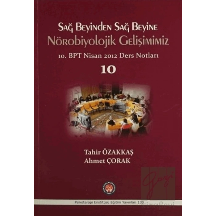 Sağ Beyinden Sağ Beyine Nörobiyolojik Gelişimimiz