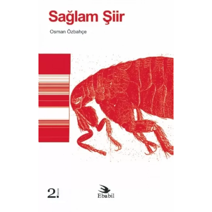 Sağlam Şiir (Eleştiri)