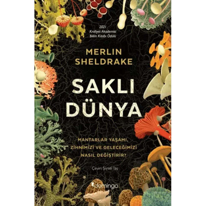 Saklı Dünya