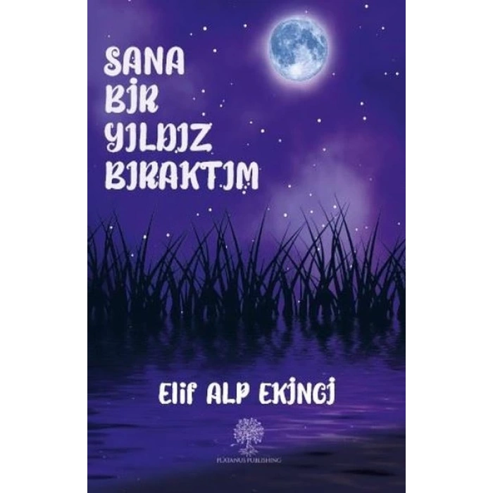 Sana Bir Yıldız Bıraktım