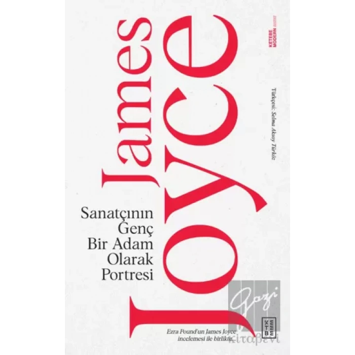 Sanatçının Genç Bir Adam Olarak Portresi