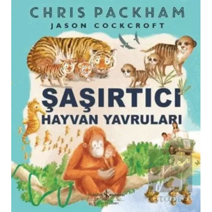 Şaşırtıcı Hayvan Yavruları