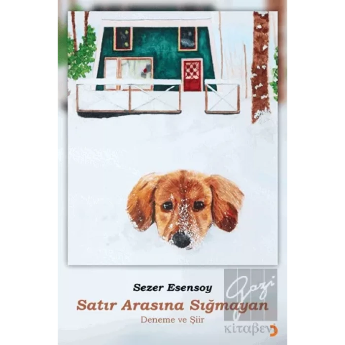 Satır Arasına Sığmayan