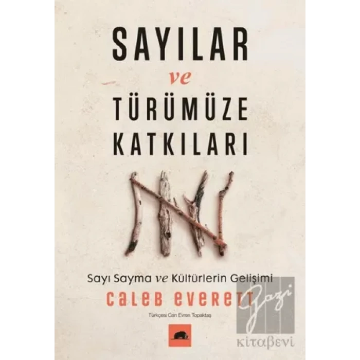 Sayılar ve Türümüze Katkıları