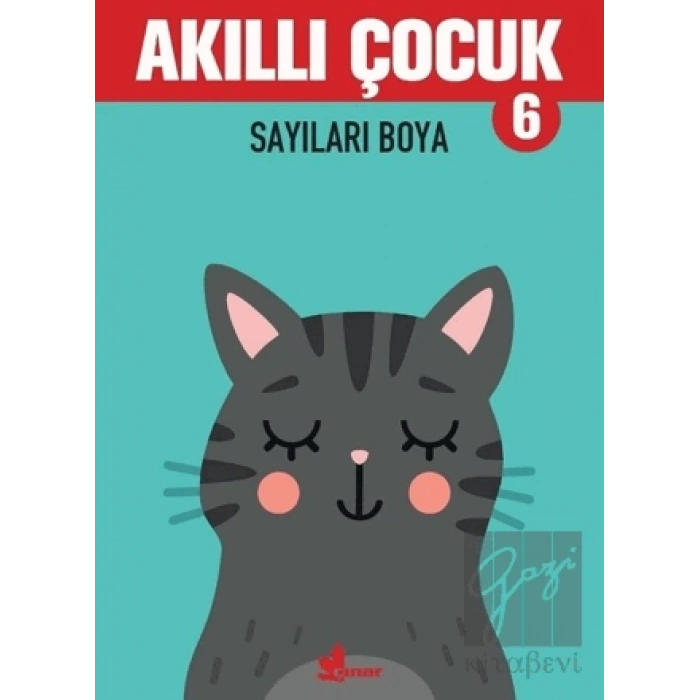 Sayıları Boya - Akıllı Çocuk 6