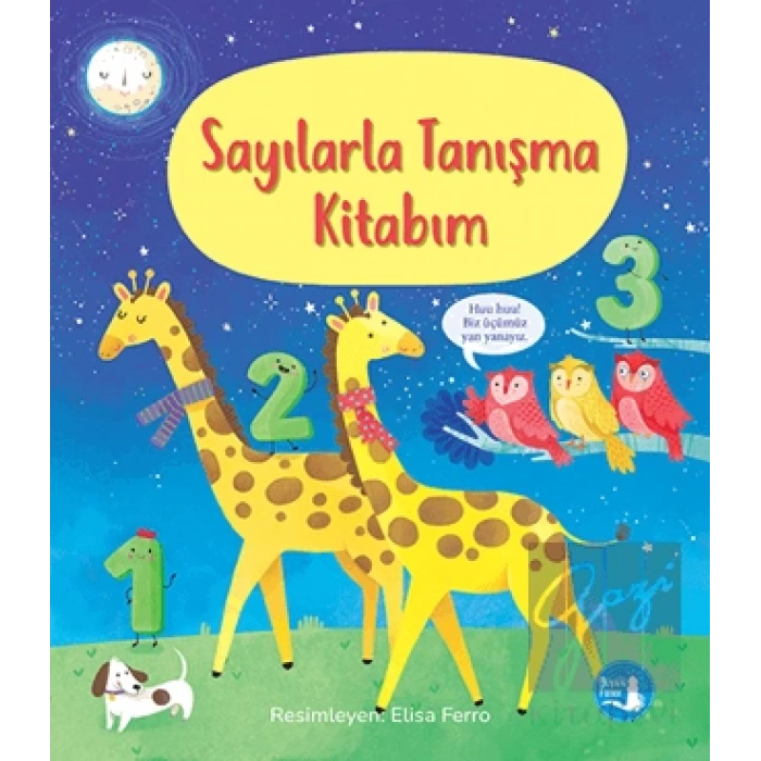 Sayılarla Tanışma Kitabım