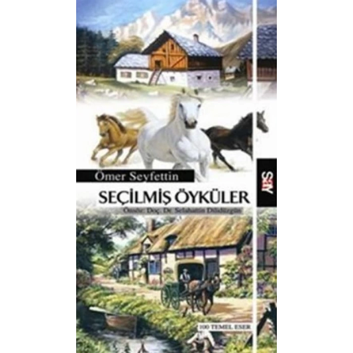 Seçilmiş Öyküler