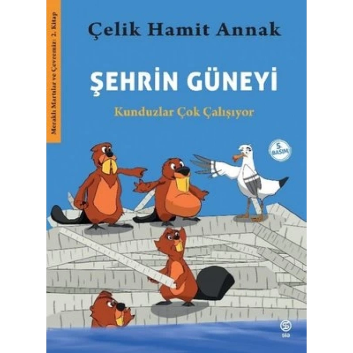 Şehrin Güneyi - Meraklı Martılar ve Çevremiz 2. Kitap