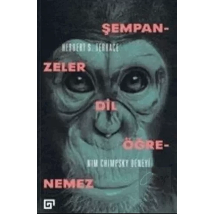 Şempanzeler Dil Öğrenemez: Nim Chimpsky Deneyi