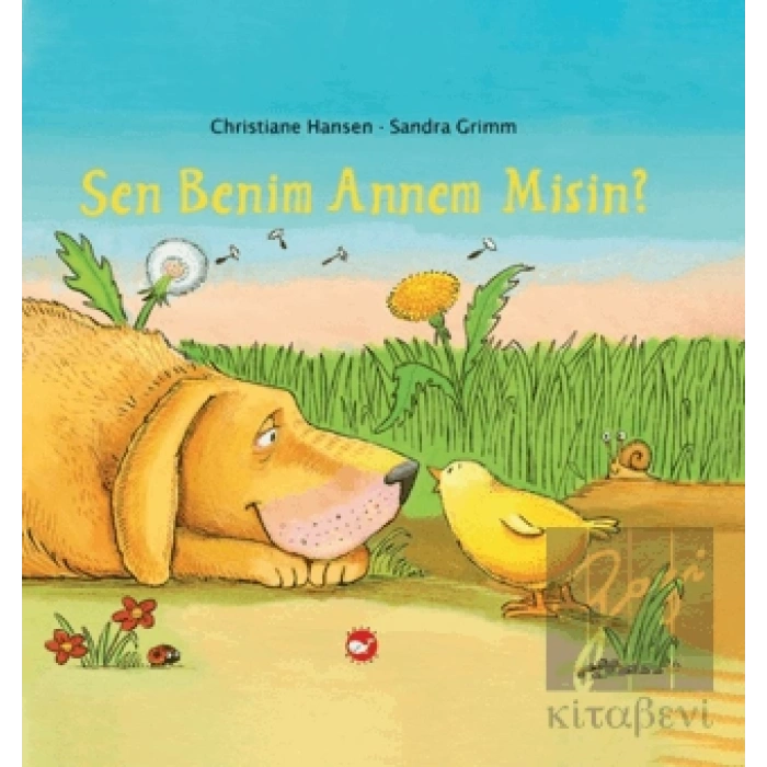 Sen Benim Annem Misin?