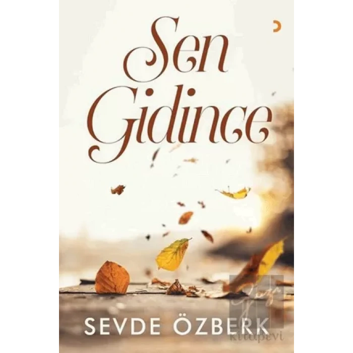 Sen Gidince