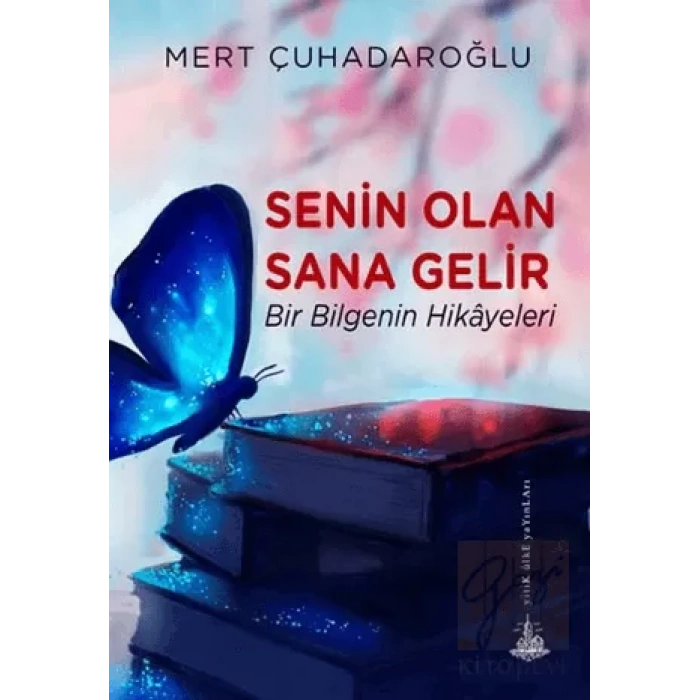 Senin Olan Sana Gelir: Bir Bilgenin Hikayeleri