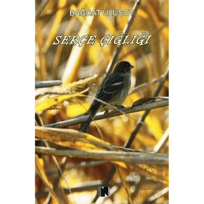 Serçe Çığlığı