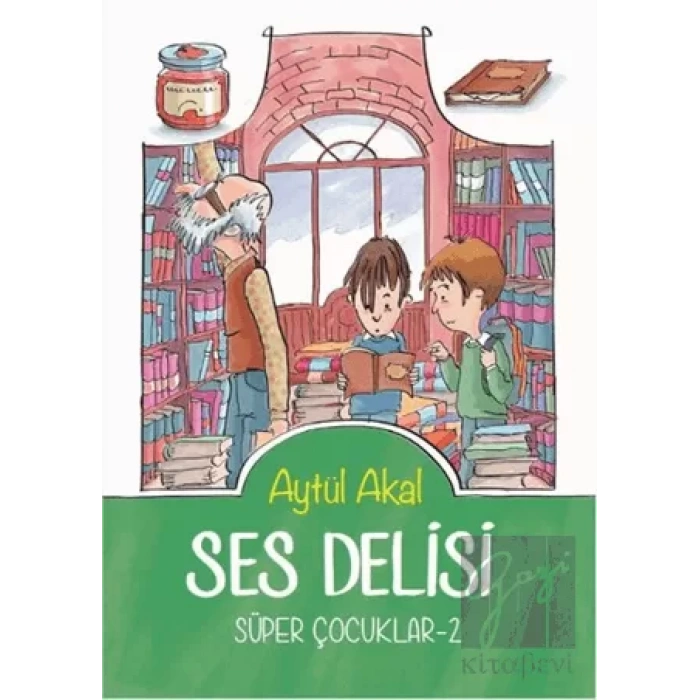 Ses Delisi