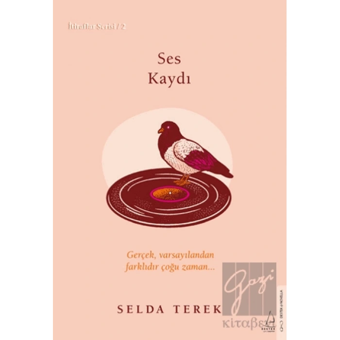 Ses Kaydı