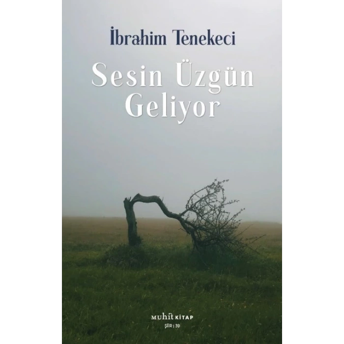 Sesin Üzgün Geliyor