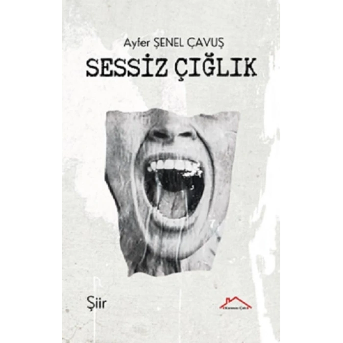 Sessiz Çığlık