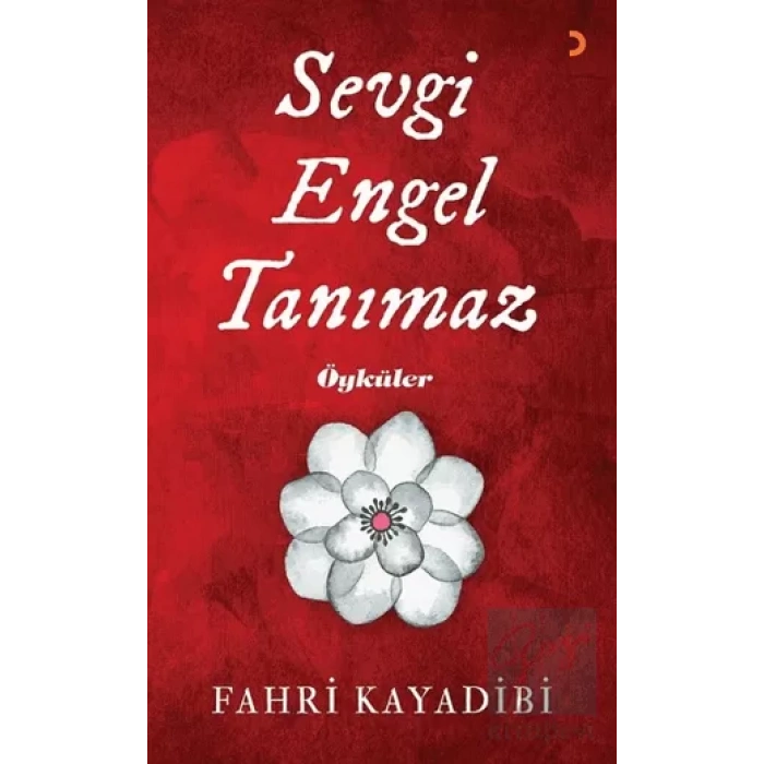 Sevgi Engel Tanımaz