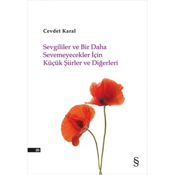 Sevgililer ve Bir Daha Sevemeyecekler İçin Küçük Şiirler ve Diğerleri