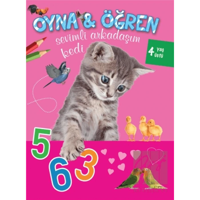 Sevimli Arkadaşım Kedi