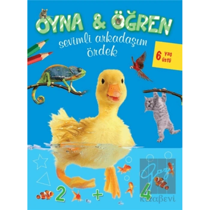 Oyna   Öğren - Sevimli Arkadaşım Ördek