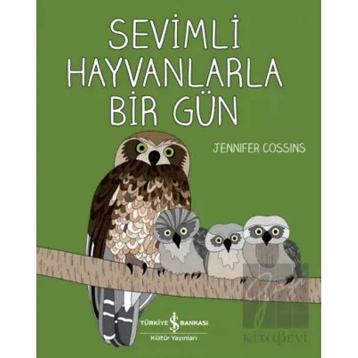 Sevimli Hayvanlarla Bir Gün