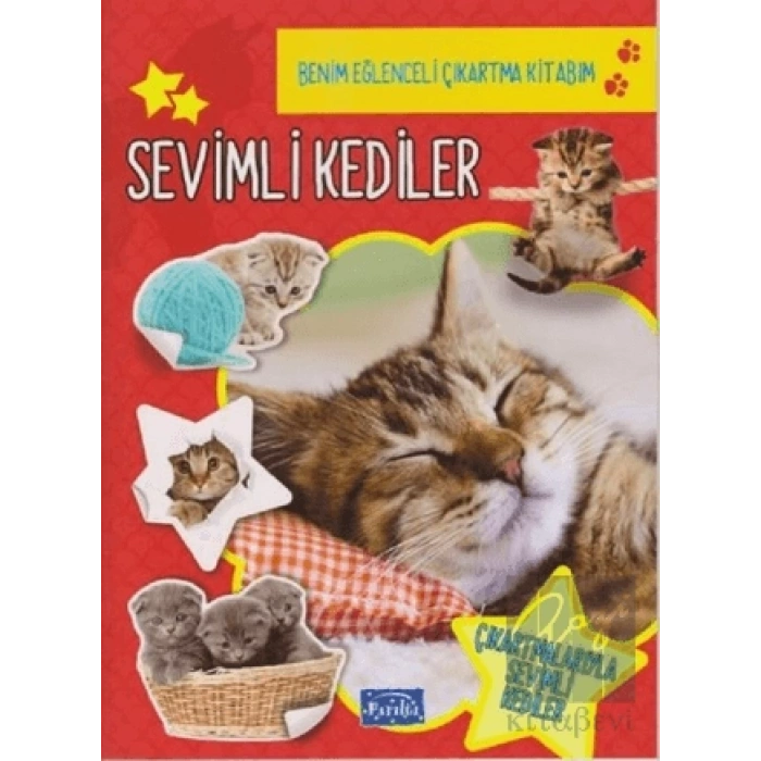 Sevimli Kediler - Benim Eğlenceli Çıkartma Kitabım