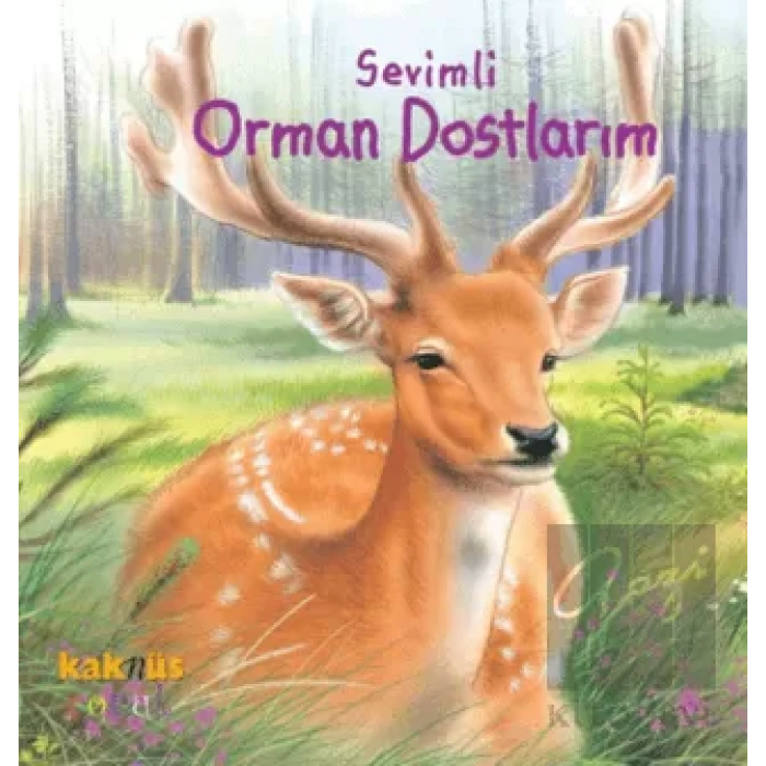Sevimli Orman Dostlarım