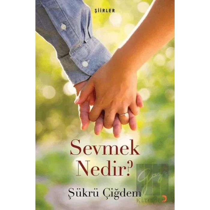 Sevmek Nedir?