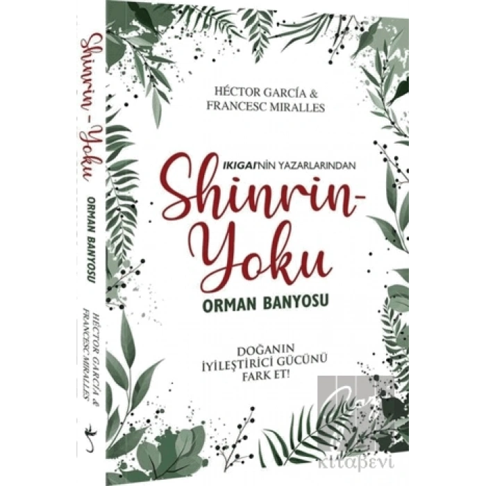 Shinrin Yoku – Orman Banyosu