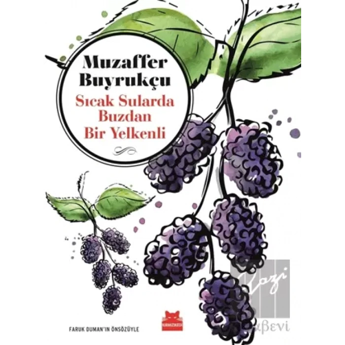 Sıcak Sularda Buzdan Bir Yelkenli