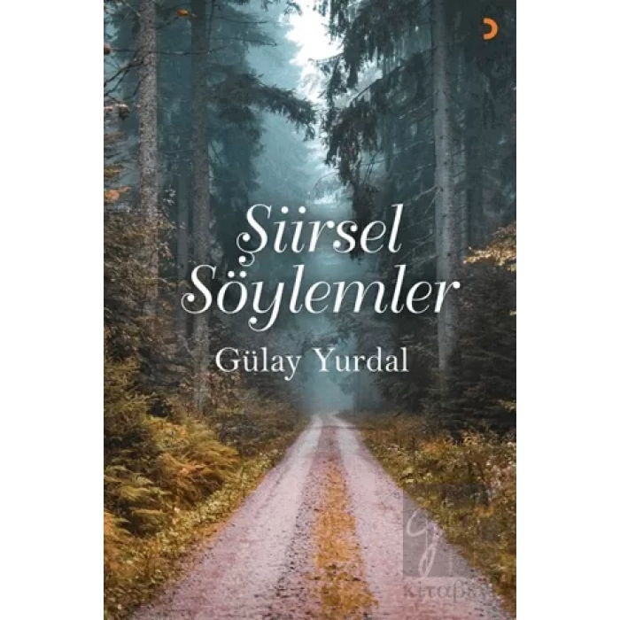 Şiirsel Söylemler