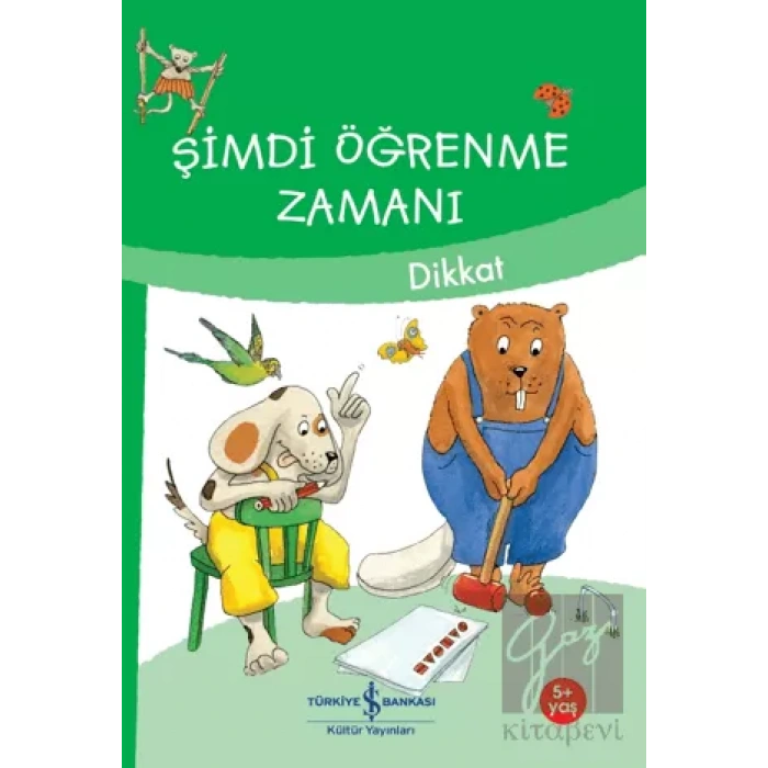 Şimdi Öğrenme Zamanı - İlk Sayılarım