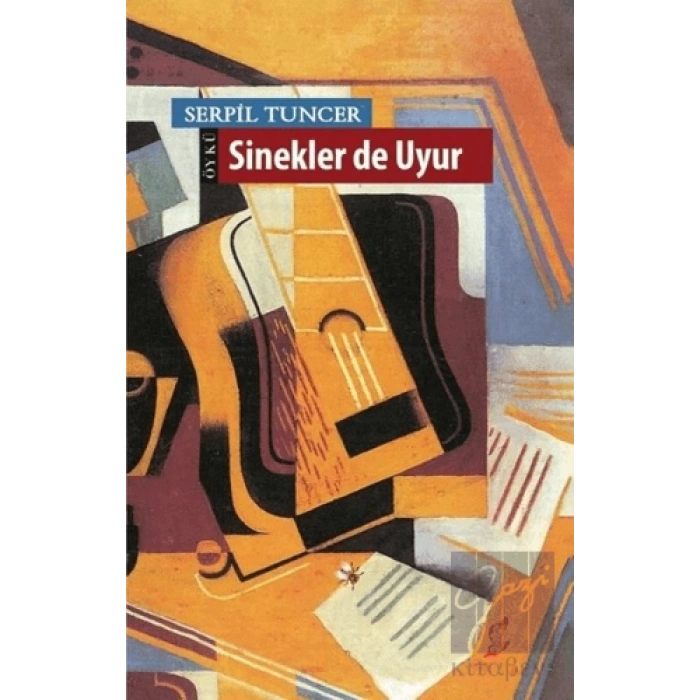 Sinekler de Uyur