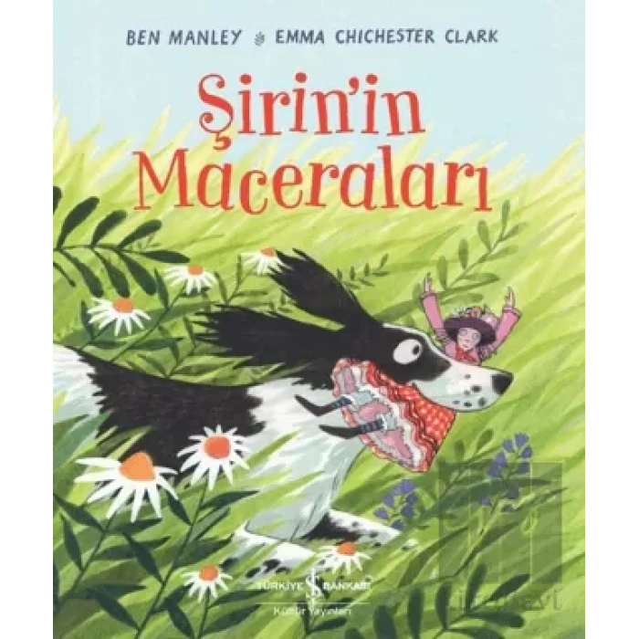 Şirinin Maceraları