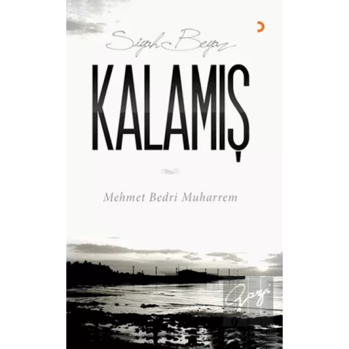 Siyah Beyaz Kalamış