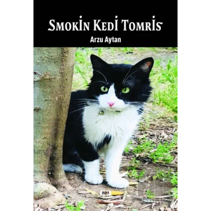 Smokin Kedi Tomris