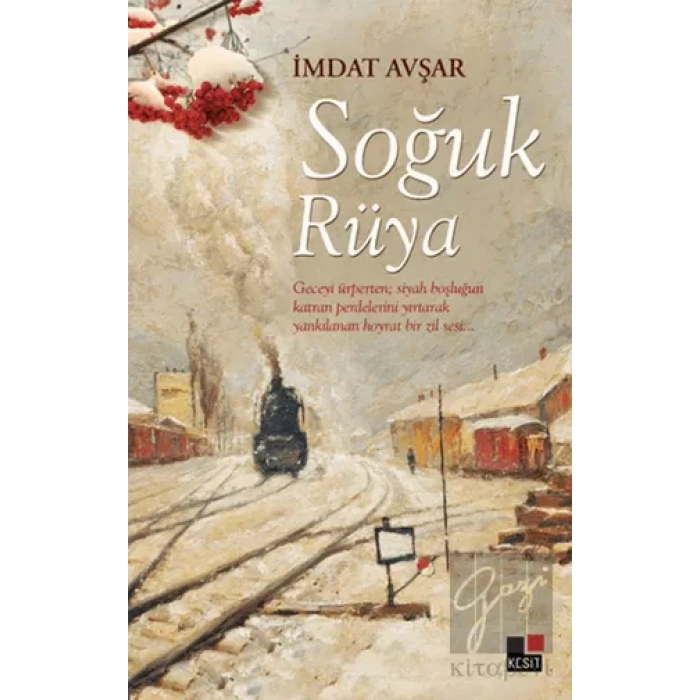 Soğuk Rüya