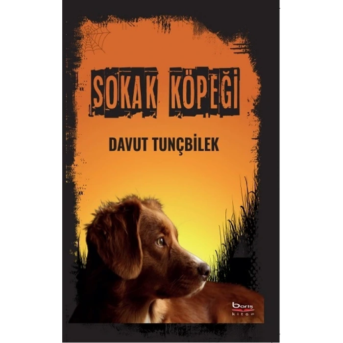 Sokak Köpeği