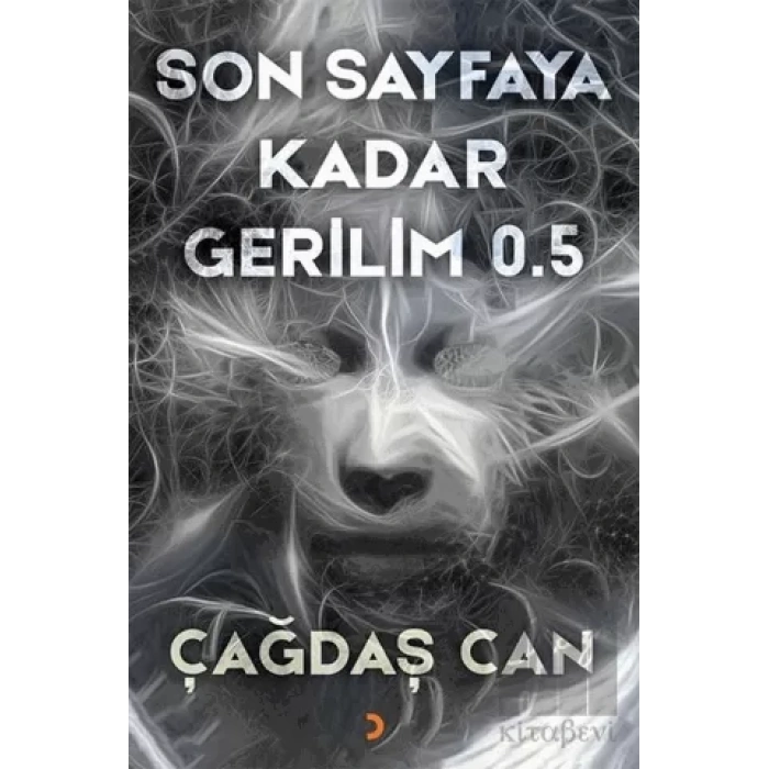 Son Sayfaya Kadar Gerilim 0.5