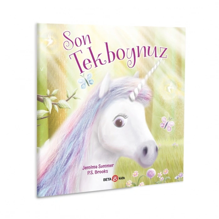 SON UNICORN BOYNUZ