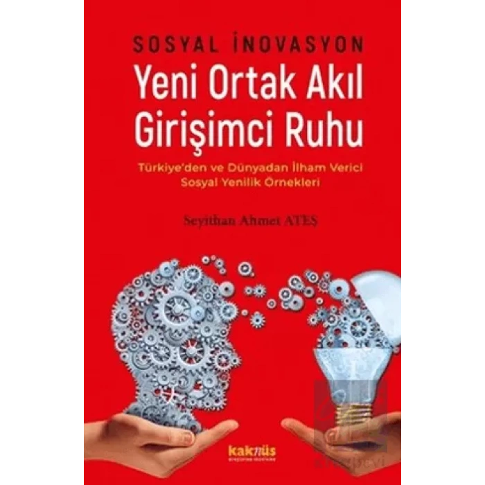 Sosyal İnovasyon Yeni Ortak Akıl Girişimci Ruhu